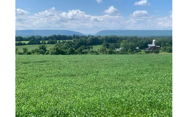 Delaware Water Gap view from Knowlton Twp.